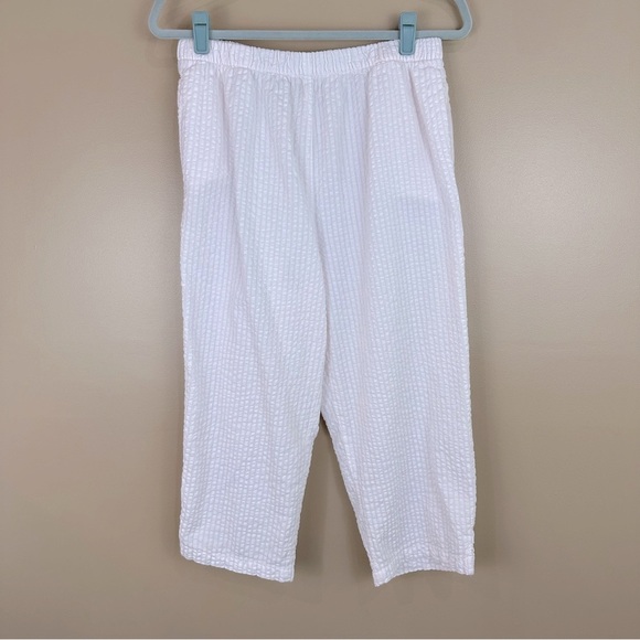 Appleseed's White Pink Striped Seersucker Shirt & Cropped Pants Set PM - Picture 7 of 13